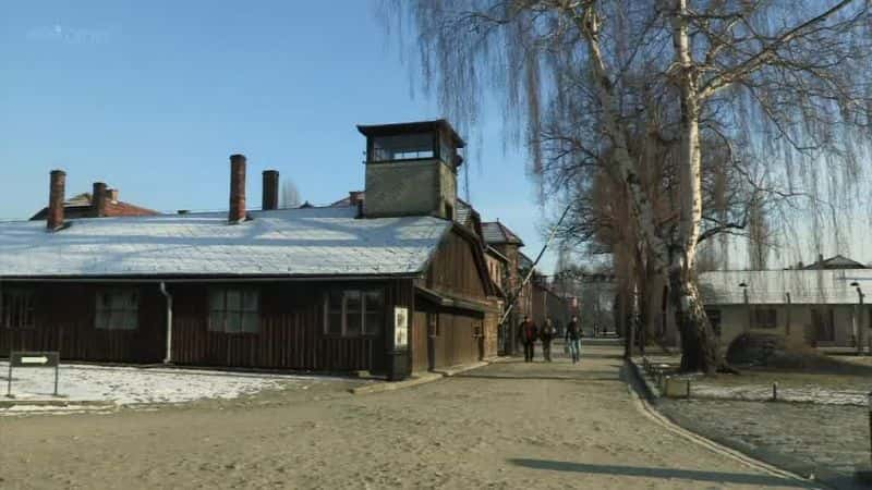 ¼Ƭ˹Ӫļ֤ Witness to Auschwitz1080Pȫ1-Ļ/Ļ