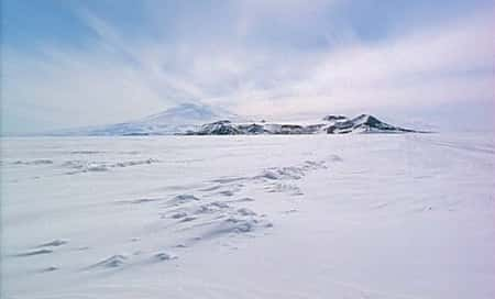 ¼Ƭϼޣƽߣ Antarctica (Horizon)ȫ3-Ļ/Ļ