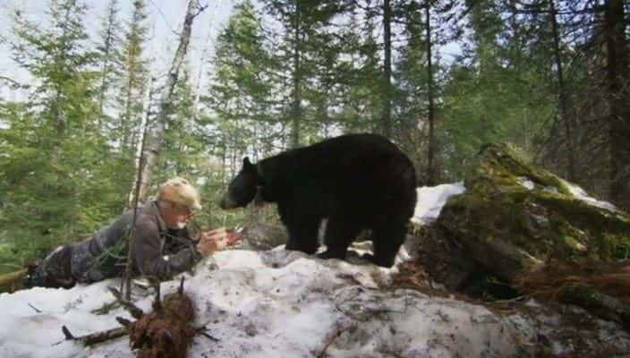 ¼Ƭֵ Bearwalker of the Northwoods720Pȫ1-Ļ/Ļ