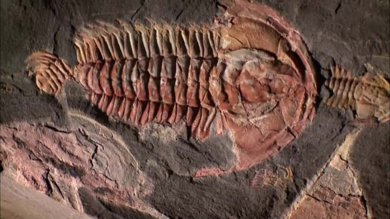 ¼ƬĴǵĵһ 40  Australia's First 4 Billion YearsĻ/Ļ