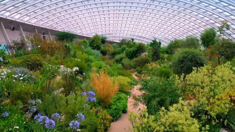 ¼ƬŶ·ϵ 42 ʿֲ԰ 1 Antiques Roadshow Series 42 National Botanic Garden of Wales 11080P-Ļ/Ļ