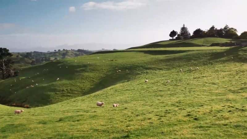 ¼Ƭ Aerial New Zealand1080P-Ļ/Ļ