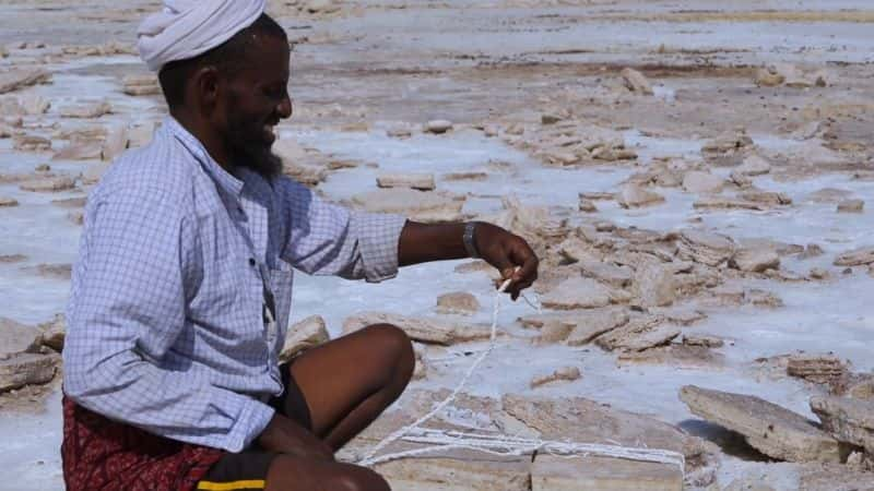 ¼ƬǶİó Arho: The Afar Salt Trade of Northeastern EthiopiaĻ/Ļ