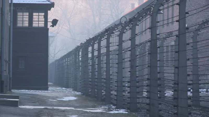 ¼Ƭ˹Ӫļ֤ Witness to Auschwitz1080Pȫ1-Ļ/Ļ