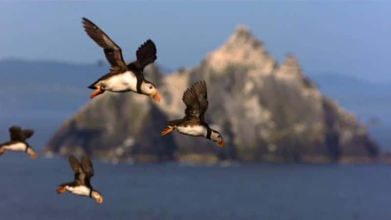 ¼ƬҰıԵ Wild Ireland: The Edge of the Worldȫ1-Ļ/Ļ