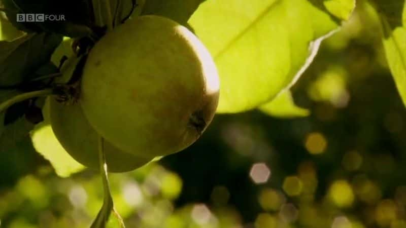 纪录片《苹果：英国的核心 Apples: British to the Core》[无字][BT][720P]资源下载