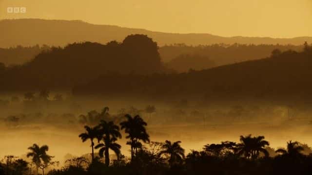 ¼ƬҰŰͣձ֮ (BBC) Wild Cuba: A Caribbean Journey (BBC)1080P-Ļ/Ļ