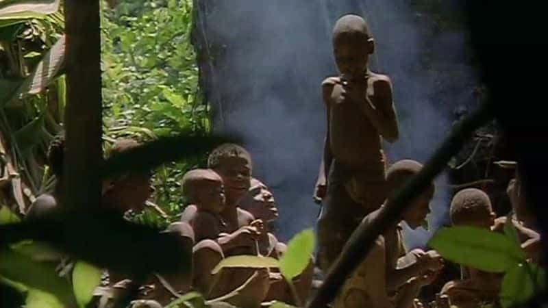 ¼ƬͿ֮ Baka: People of the RainforestĻ/Ļ