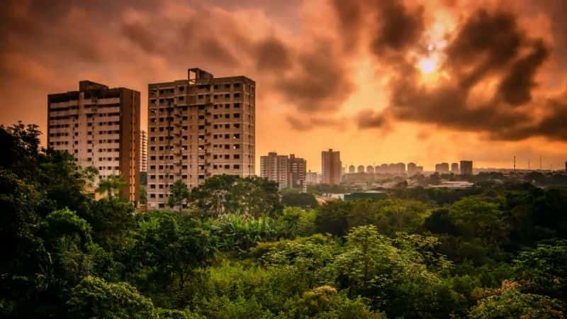 ¼ƬҰĳ - ˹ϵ 1 Worlds Wildest Cities - Manaus: Series 1Ļ/Ļ