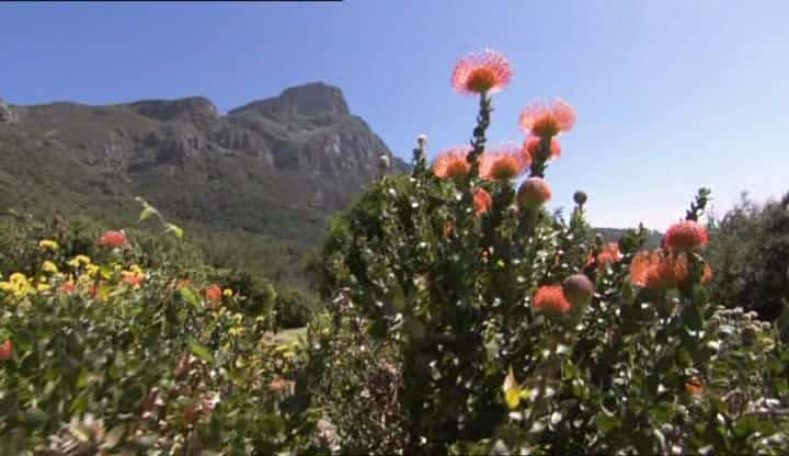 纪录片《环游世界 80 个花园 Around The World In 80 Gardens》[无字][BT][1080P]资源下载