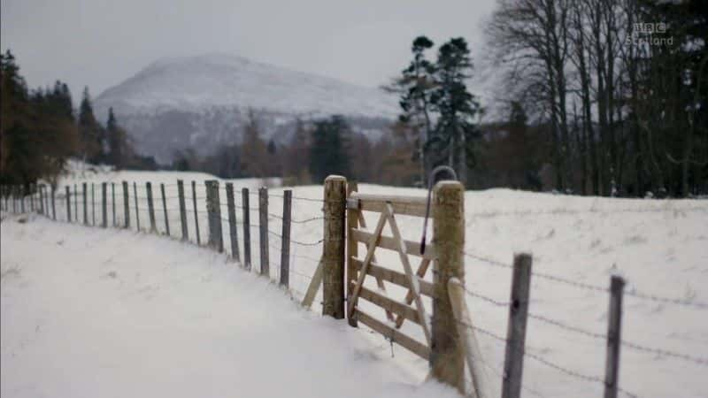 ¼Ƭո֮ս Battle for Scotland's Countryside1080Pȫ1-Ļ/Ļ