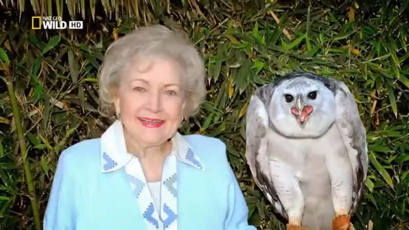 ¼Ƭ١رÿҰ Betty White Goes WildĻ/Ļ