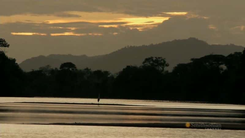 ¼Ƭѷ Amazon River CrocsĻ/Ļ