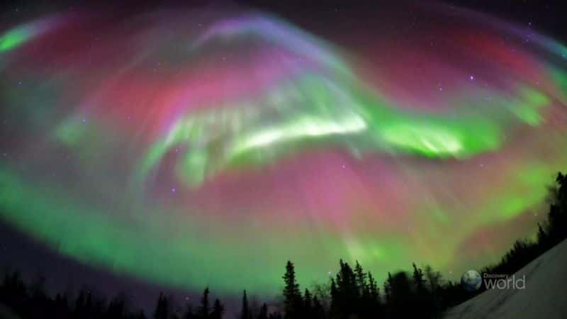 ¼Ƭô󼫹׳۵ƹ Aurora Canada's Light SpectacularĻ/Ļ