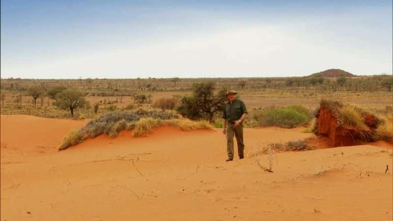 ¼Ƭס׶˹ (Ray Mears) ġҰĴǡϵ 1 Wild Australia with Ray Mears Series 1Ļ/Ļ