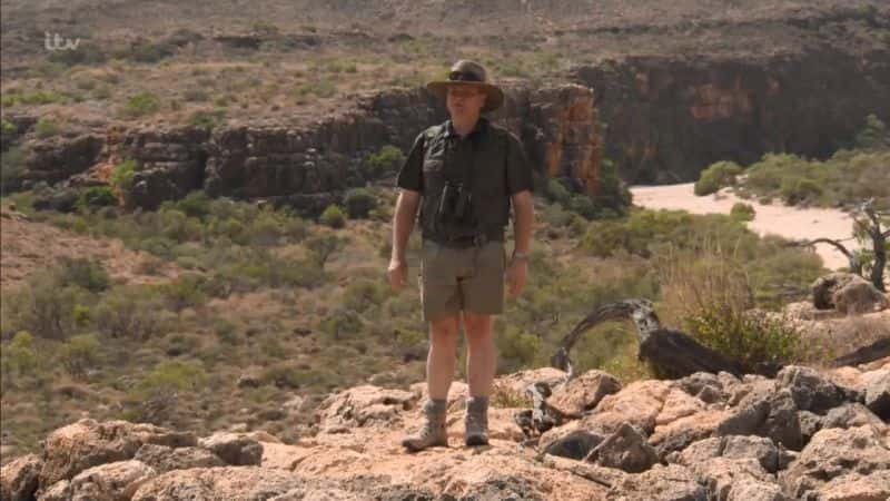 ¼Ƭס׶˹ (Ray Mears) İĴǻҰϵ 1 Australian Wilderness with Ray Mears Series 1Ļ/Ļ