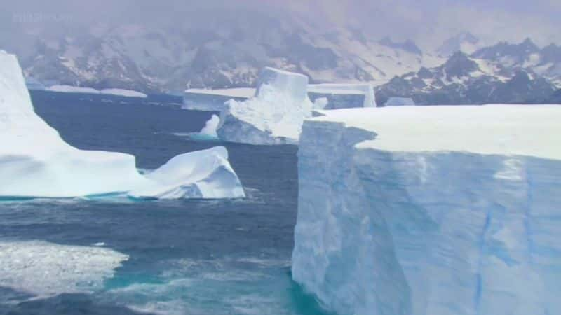 ¼Ƭϼޣ (BBC) Antarctica: Of Ice and Men (BBC)ȫ1-Ļ/Ļ