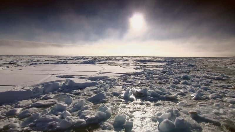 ¼Ƭܣϵ 1 Arctic Secrets: Series 11080P-Ļ/Ļ