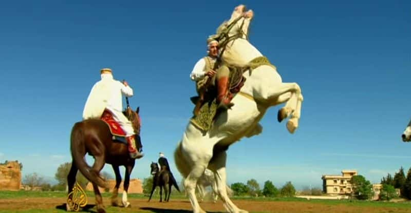 ¼Ƭǻ Algerian WeddingĻ/Ļ