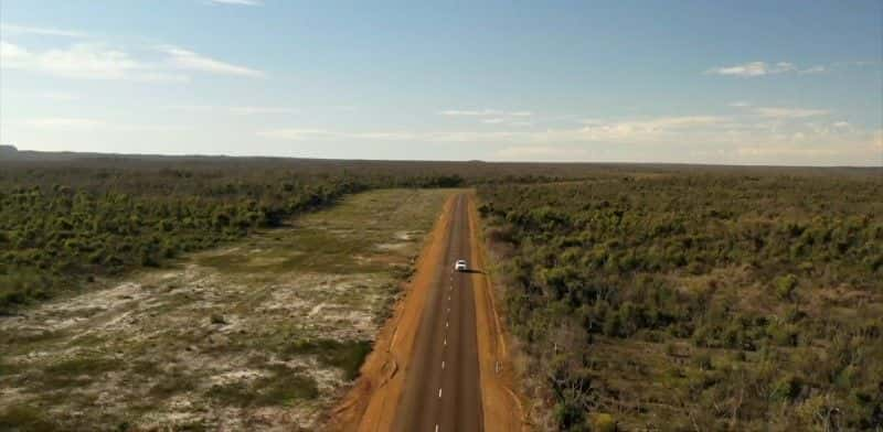 ¼ƬĴǵҰ֮ Australia's Wildlife: After the Fires1080P-Ļ/Ļ