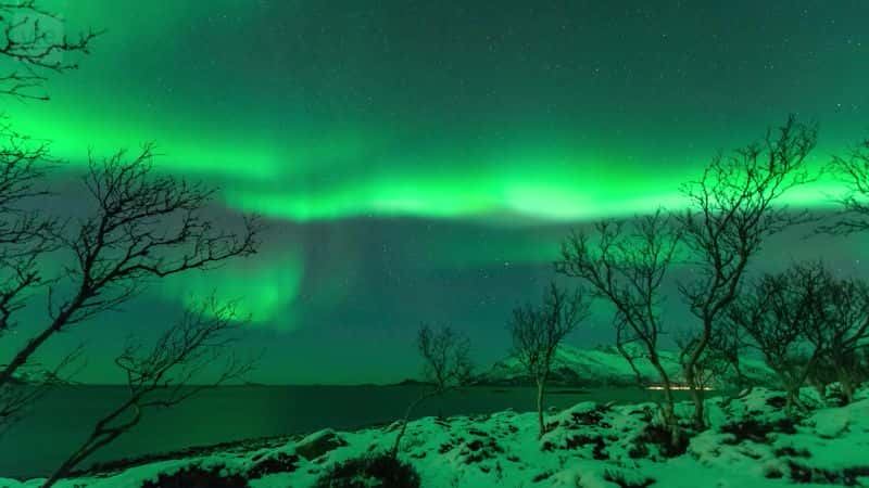 ¼Ƭ⣺µҹ Aurora Borealis: An Evening under the Northern LightsĻ/Ļ