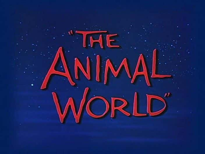 纪录片《动物世界 The Animal World》[无字][BT][720P]资源下载