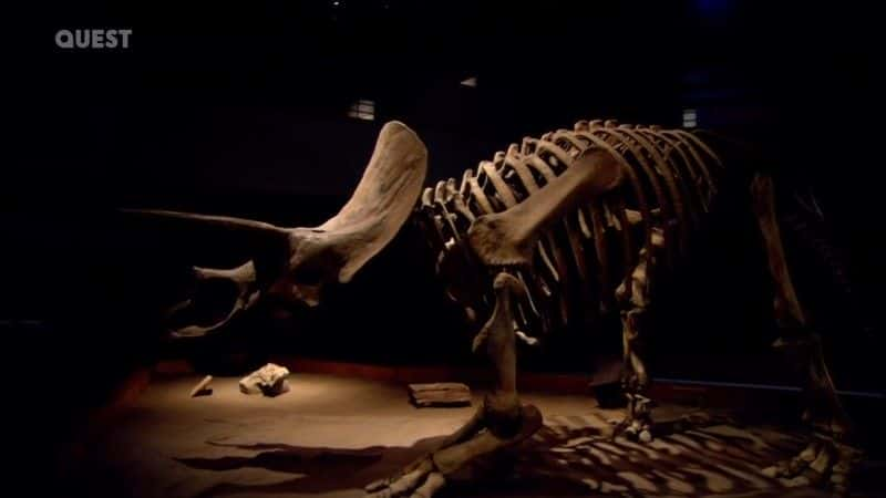 ¼Ƭʱ When Dinosaurs Roamed America (Quest)ȫ1-Ļ/Ļ