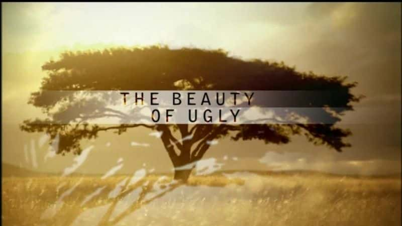 ¼Ƭª֮ The Beauty of UglyĻ/Ļ