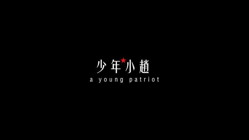 纪录片《年轻的爱国者 A Young Patriot》[无字][BT][720P]资源下载