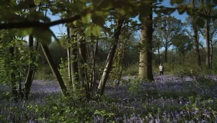 ¼Ƭ˹ĻҰ The Wild Places of Essex720P-Ļ/Ļ