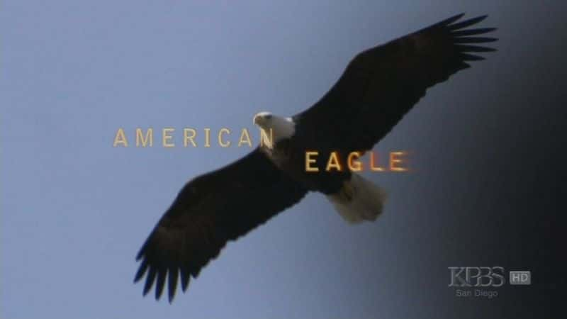 纪录片《美国之鹰 American Eagle》[无字][BT][720P]资源下载