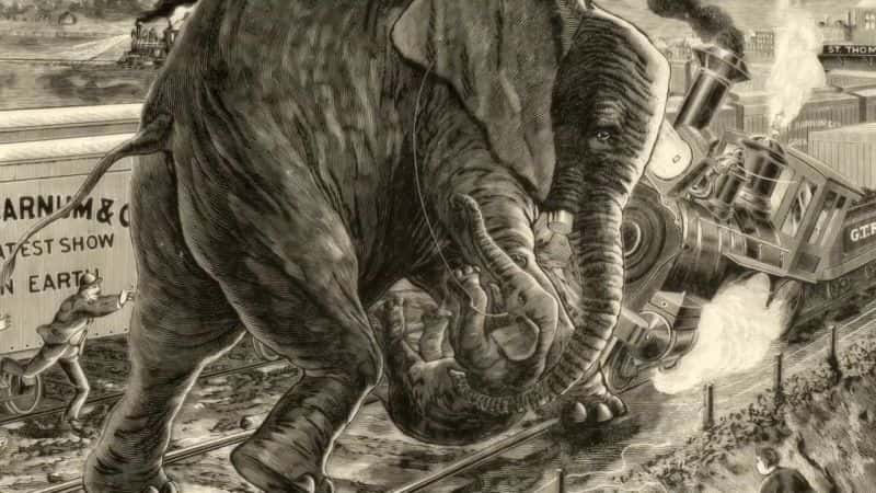 ¼Ƭպ; Attenborough and the Giant ElephantĻ/Ļ