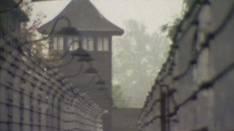 ¼Ƭ˹Ӫļ֤ Witness to Auschwitz1080Pȫ1-Ļ/Ļ