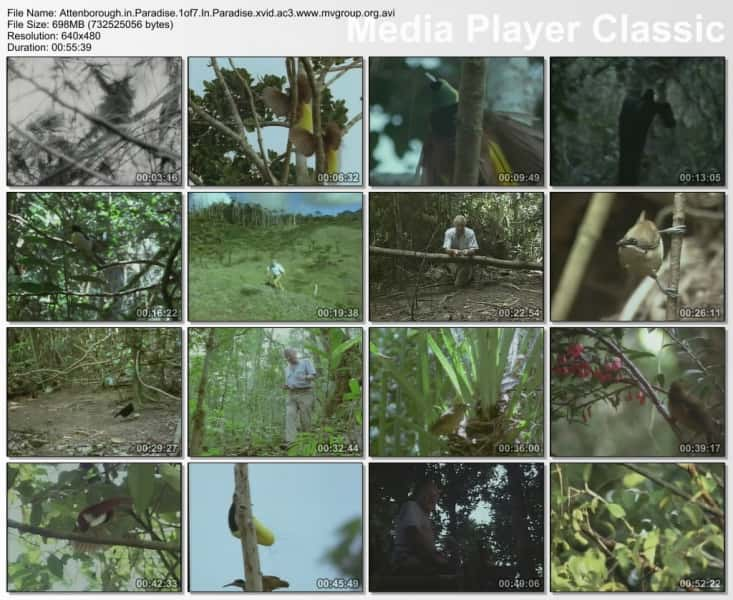 纪录片《艾登堡的天堂 Attenborough in Paradise》[无字][BT][720P]资源下载