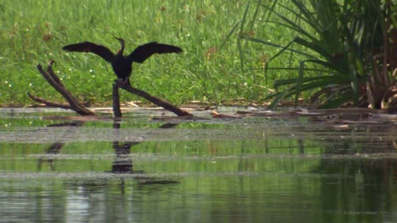 ¼ƬĴǣӢ㲥˾ Australia (BBC)ȫ3-Ļ/Ļ