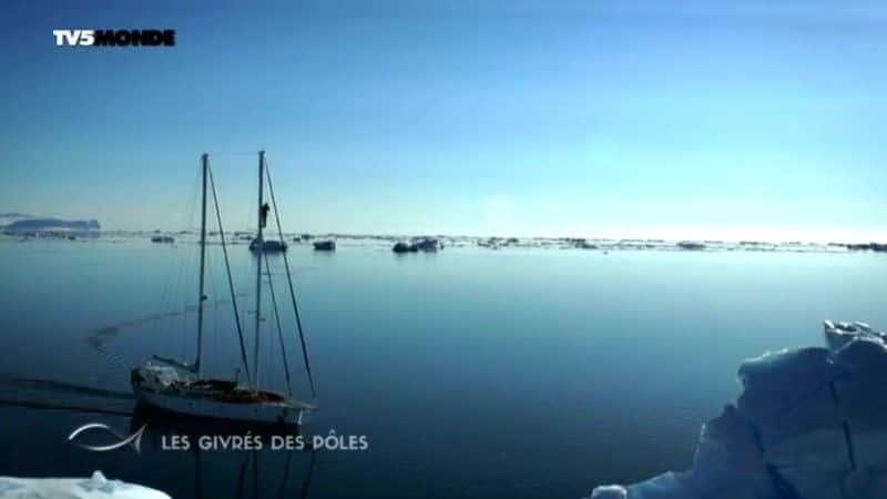 纪录片《北极-南极洲：les givres des 极地 Arctique-Antarctique: les givres des poles》[无字] [BT][DVD画质]资源下载