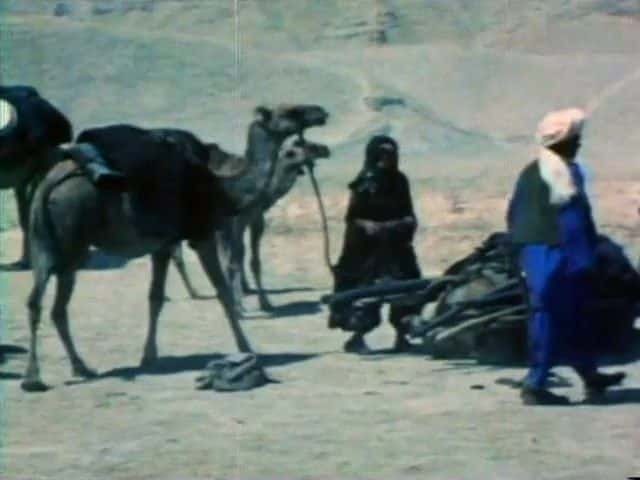 ¼Ƭ -  Afghan Nomads - The MaldarĻ/Ļ