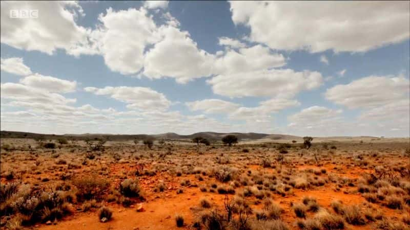 ¼ƬĴӣ The Art of Australia (HDTV)Ļ/Ļ