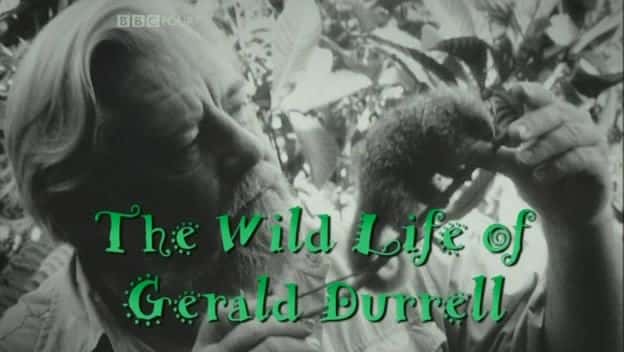 ¼Ƭ¡׶ĿҰ The Wild Life of Gerald DurrellĻ/Ļ