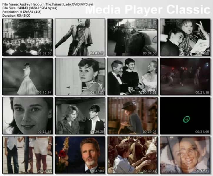 ¼ƬձŮ Audrey Hepburn - The Fairest LadyĻ/Ļ