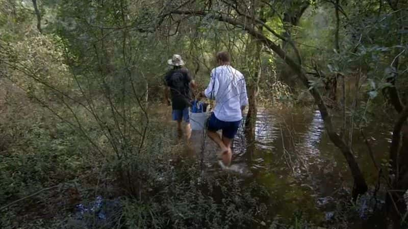 ¼ƬҰϵ 2 Ben Fogle: New Lives In The Wild Series 2Ļ/Ļ