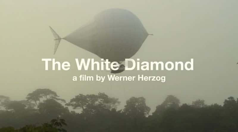 ¼Ƭʯ The White DiamondĻ/Ļ