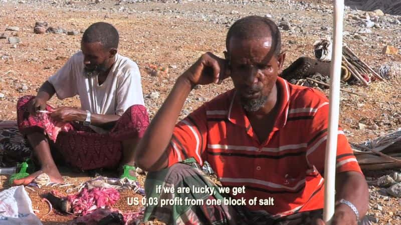 ¼ƬǶİó Arho: The Afar Salt Trade of Northeastern EthiopiaĻ/Ļ