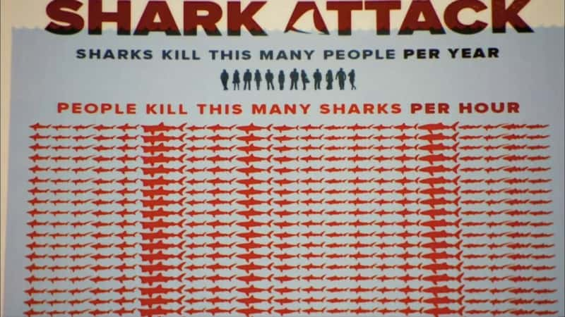 ¼ƬΪι Why Sharks Attack - Secrets of the Great WhiteĻ/Ļ