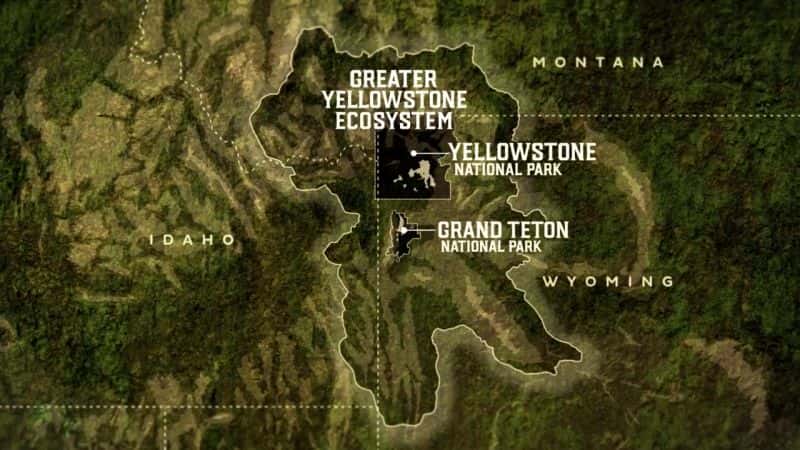 ¼Ƭʯ԰ҰĶ쵽ȵ Yellowstone: Wildest Winter to Blazing SummerĻ/Ļ