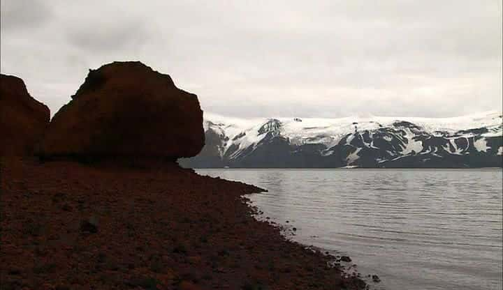 ¼Ƭϼ - Ұ Antarctica Dreaming - Wildlife on IceĻ/Ļ