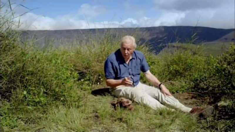 ¼ƬǱ90꣺ͷ Attenborough at 90: Behind the LensĻ/Ļ