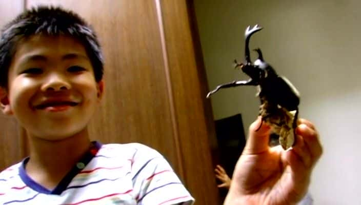 ¼Ƭ׳Ů Beetle Queen Conquers Tokyo720Pȫ1-Ļ/Ļ