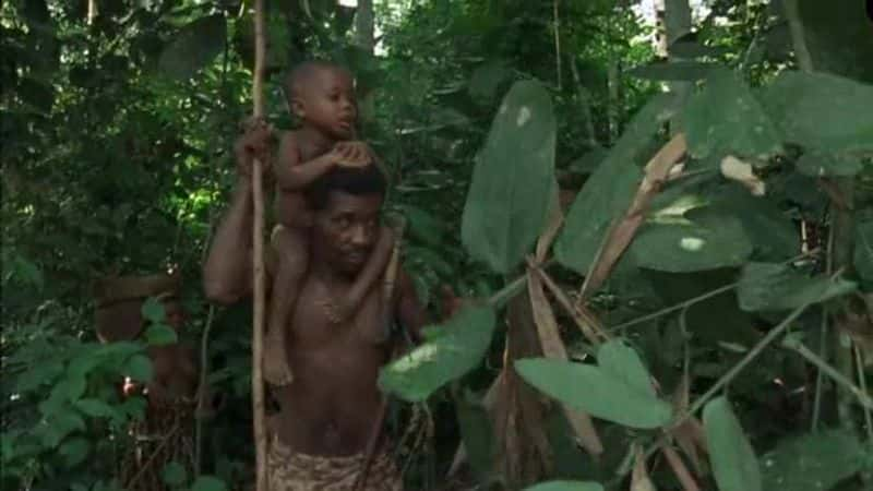 ¼ƬͿ֮ Baka: People of the RainforestĻ/Ļ