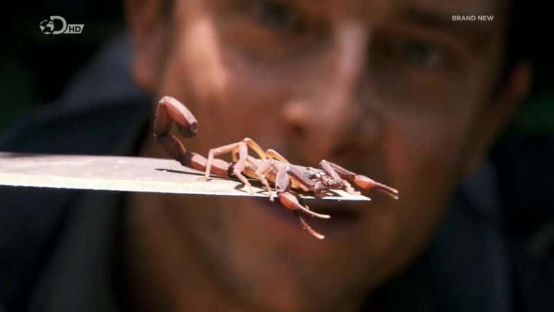 ¼Ƭ˹ϵ 1 Bear Grylls: Escape from Hell Series 1Ļ/Ļ